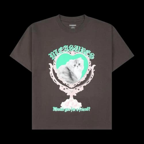 Pleasures Mirror T-Shirt 'Brown'