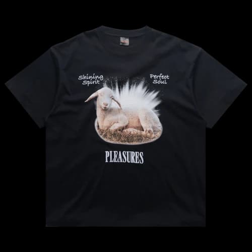 Pleasures Shine T-Shirt 'Black'