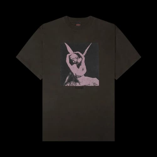 Pleasures Angel T-Shirt 'Charcoal'