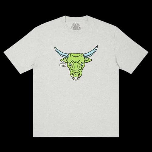 Palace Nobul T-Shirt 'Grey Marl'