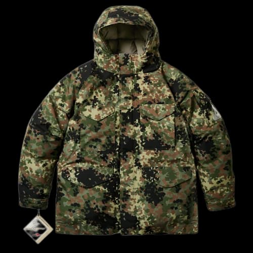 Palace GORE-TEX Windstopper Down Parka 'Flecktarn Camo'