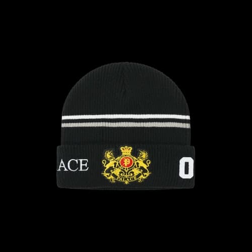 Palace Established Beanie 'Black'