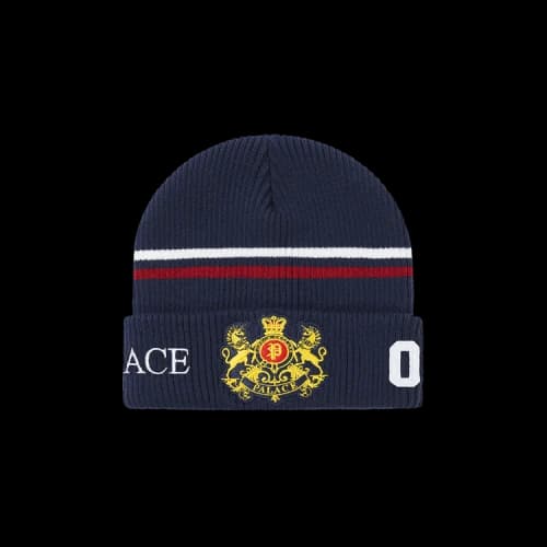 Palace Established Beanie 'Navy'
