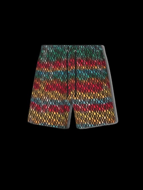 AMIRI Amiri Swim Trunk Multi