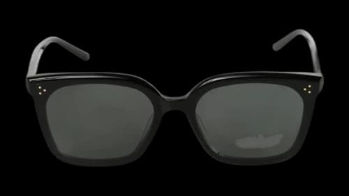 Gentle Monster PIANA 01 Sunglasses Black