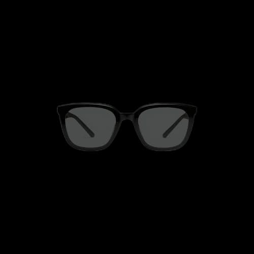 Gentle Monster Pino 01 Sunglasses 'Black'