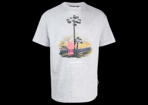 Palm Angels Douby Lost in Amazonia T-shirt Grey