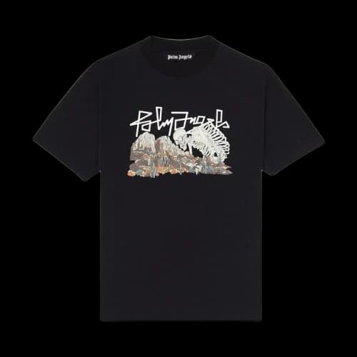 Palm Angels Desert Skull Tee 'Black/Multi'