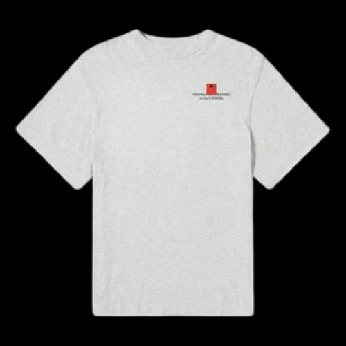 PALM ANGELS Small Palm X Palm Tee Chest Word Embroidered Brown Printing Short Sleeve Gray
