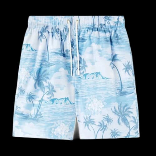 Palm Angels Sunset Swimshort 'Indigo Blue'