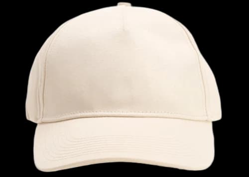 Palm Angels Back Logo Cap Beige/Beige