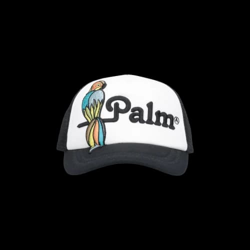 Palm Angels Parrot Cap 'Black'