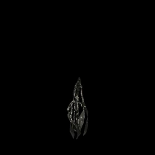 Palm Angels Bandana Necklace 'Black'
