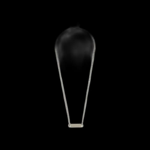 Palm Angels Classic Logo Plate Necklace 'Silver/Black'