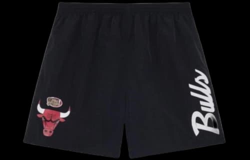 Mitchell & Ness x NBA Team Essentials Nylon Shorts 'Chicago Bulls'