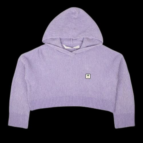 Palm Angels PXP Sweater Ribbed Cropped Hoodie 'Purple'