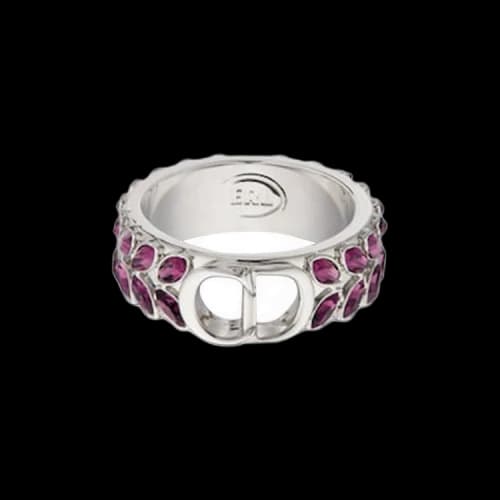 Dior x ERL Ring 'Silver'