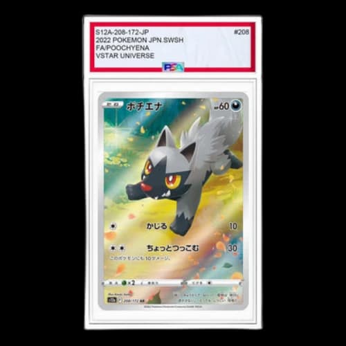 Pokemon VSTAR Universe [s12a 208/172] 'Poochyena AR'