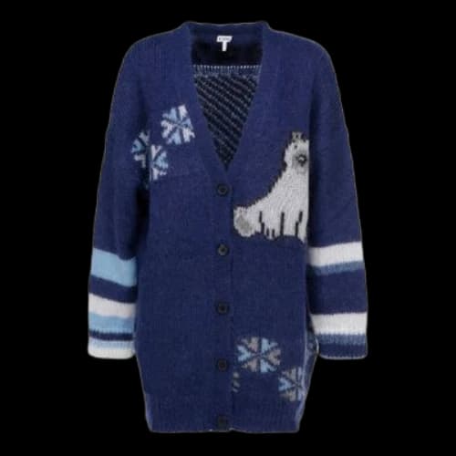 LOEWE SS21 Large Multi-Color Cardigan Navy Blue (Women's)