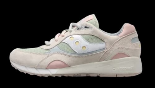 Saucony Shadow 6000 Stoney Creek