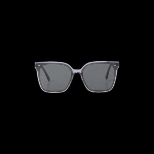Gentle Monster Sal G1 Sunglasses 'Grey'
