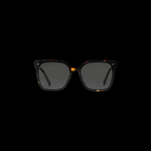 Gentle Monster Sal T1 Sunglasses 'Tortoise'