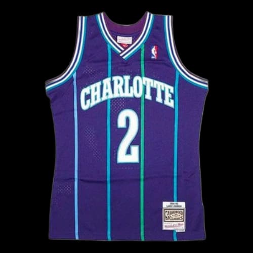 Mitchell & Ness NBA Swingman Jersey 'Charlotte Hornets - Larry Johnson 1994/95'