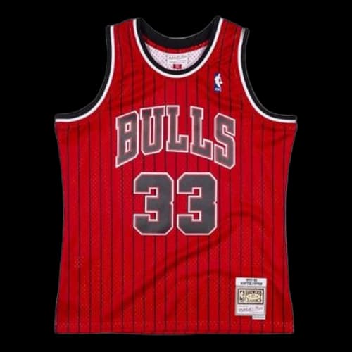 Mitchell & Ness SW 95-96 33