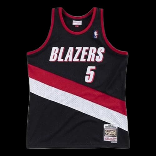 Mitchell & Ness NBA Swingman Jersey 'Portland Trail Blazers - Jermaine O'Neal 1999/00'