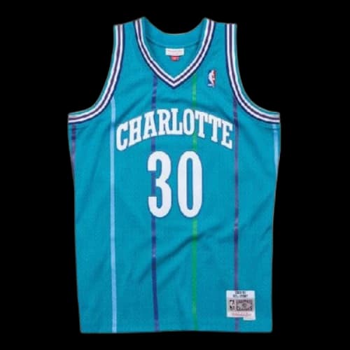 Mitchell & Ness NBA Swingman Jersey Charlotte Hornets Road 1992-93 Dell Curry