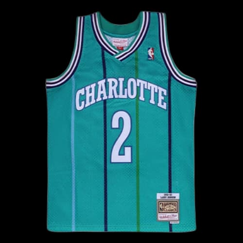 Mitchell & Ness NBA Swingman Jersey 'Charlotte Hornets - Larry Johnson 1992/93'