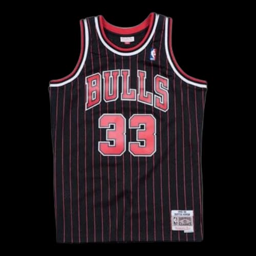 Mitchell & Ness NBA SW 33