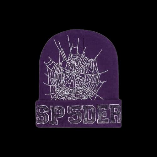 Sp5der Web Rhinestone Beanie 'Purple'