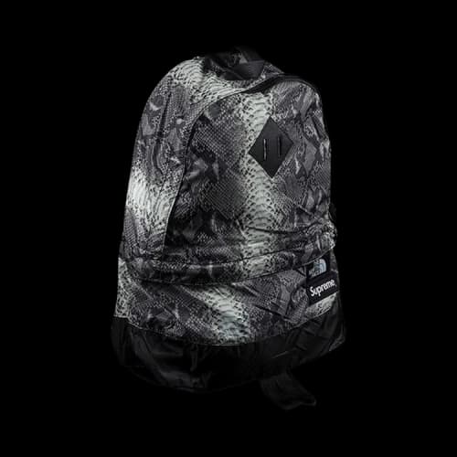 Supreme x The North Face Snakeskin Light Weight Day Pack 'Black'