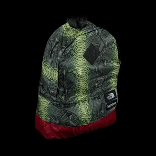 Supreme x The North Face Snakeskin Light Weight Day Pack 'Green'