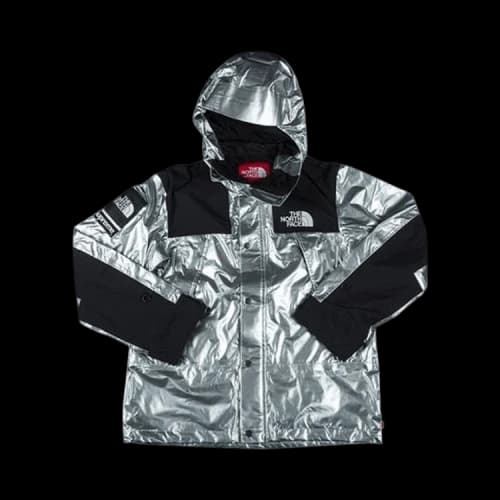 Supreme x The North Face Metallic Mountain Parka 'Silver'