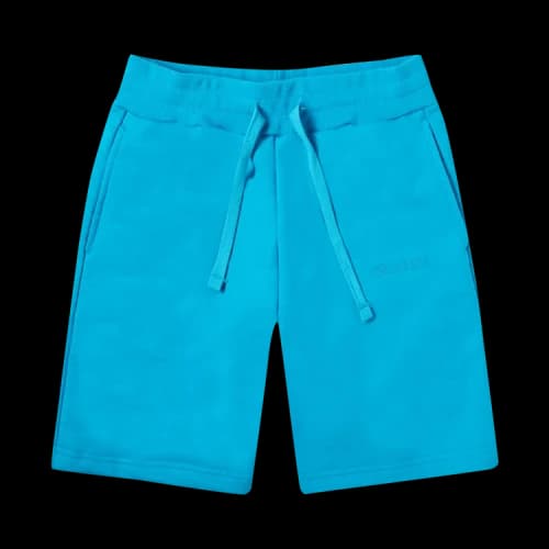 Aimé Leon Dore TERRY SHORTS 'Blue'