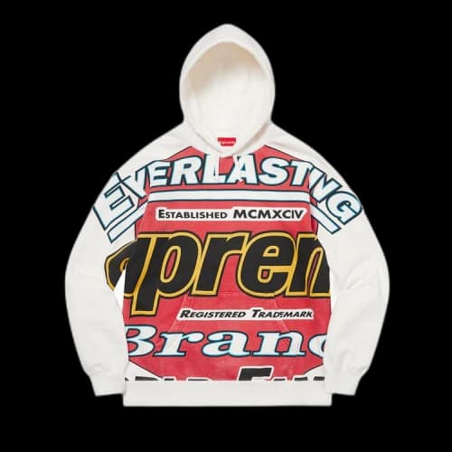 Supreme Everlasting Hooded Sweatshirt 'White'