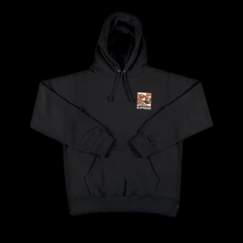 Supreme x Butthole Surfers Hooded Sweatshirt 'Black'