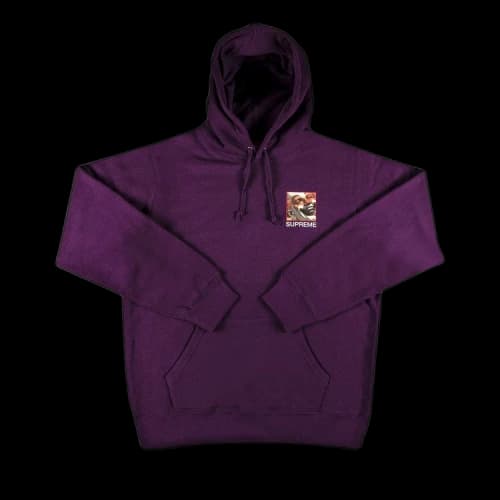 Supreme x Butthole Surfers Hooded Sweatshirt 'Eggplant'
