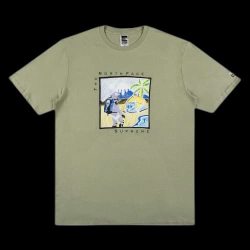 Supreme x The North Face Sketch Short-Sleeve Top 'Sage'