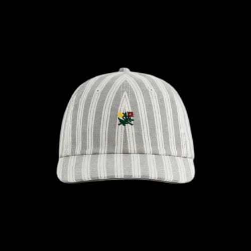 Aimé Leon Dore Striped Crest Hat 'Green'