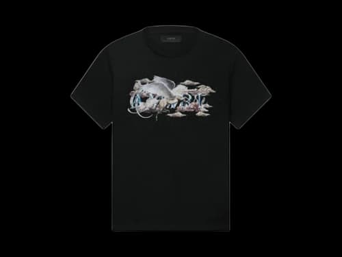 AMIRI Pegasus Script-print T-shirt Black
