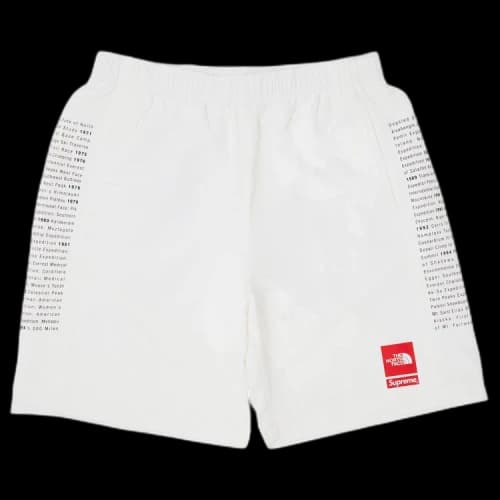 Supreme x The North Face Nylon Short 'White'