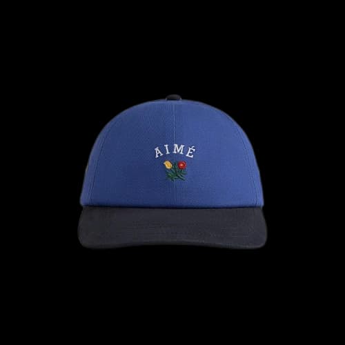 Aimé Leon Dore Colorblock Crest Hat 'Navy'
