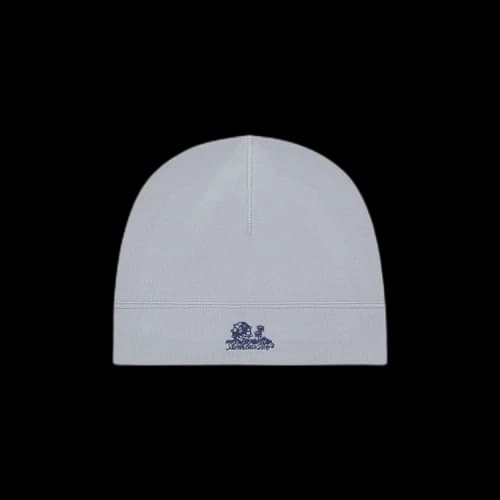 Aimé Leon Dore Unisphere Skull Cap 'Grey'
