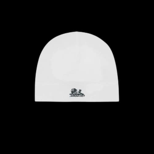 Aimé Leon Dore Unisphere Skull Cap 'Pristine'