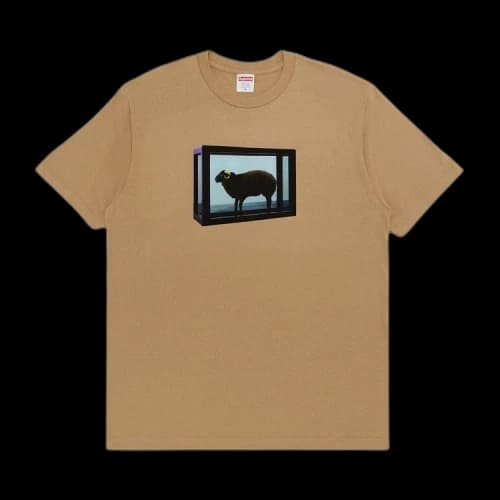 Supreme x Damien Hirst Tee 'Khaki'