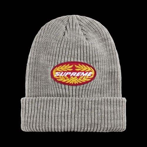 Supreme Terminal Beanie 'Grey'