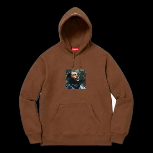 Supreme FW18 Marvin Gaye Hooded Sweatshirt Brown